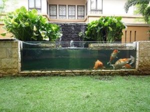 Kolam Ikan Depan Rumah dengan Kaca Minimalis